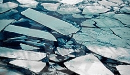 Фото:Phototimes.ru