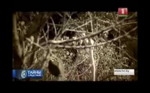 
 Выпуск 81 от 05.10.2014
 